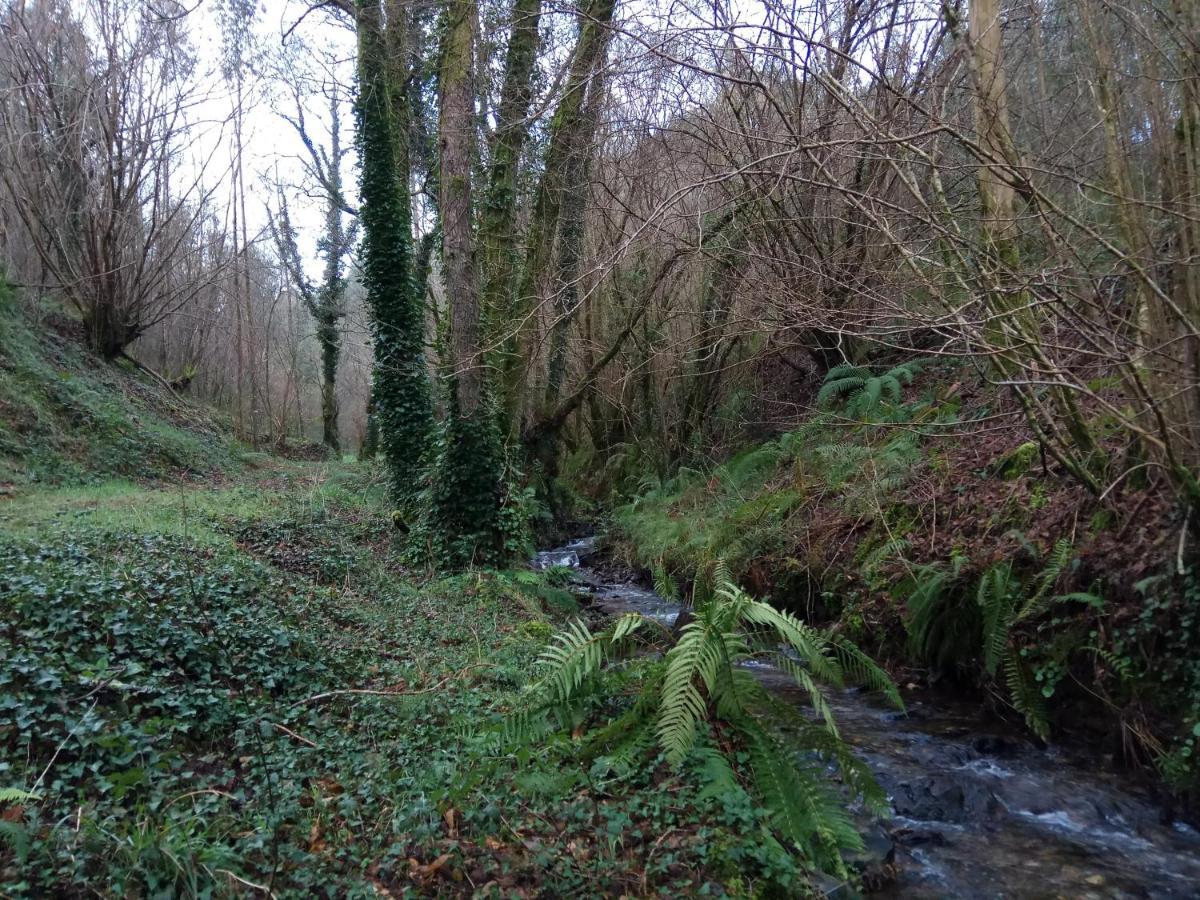 A Casa Dos Avos - Vilarino - A Coruna Eksteriør bilde